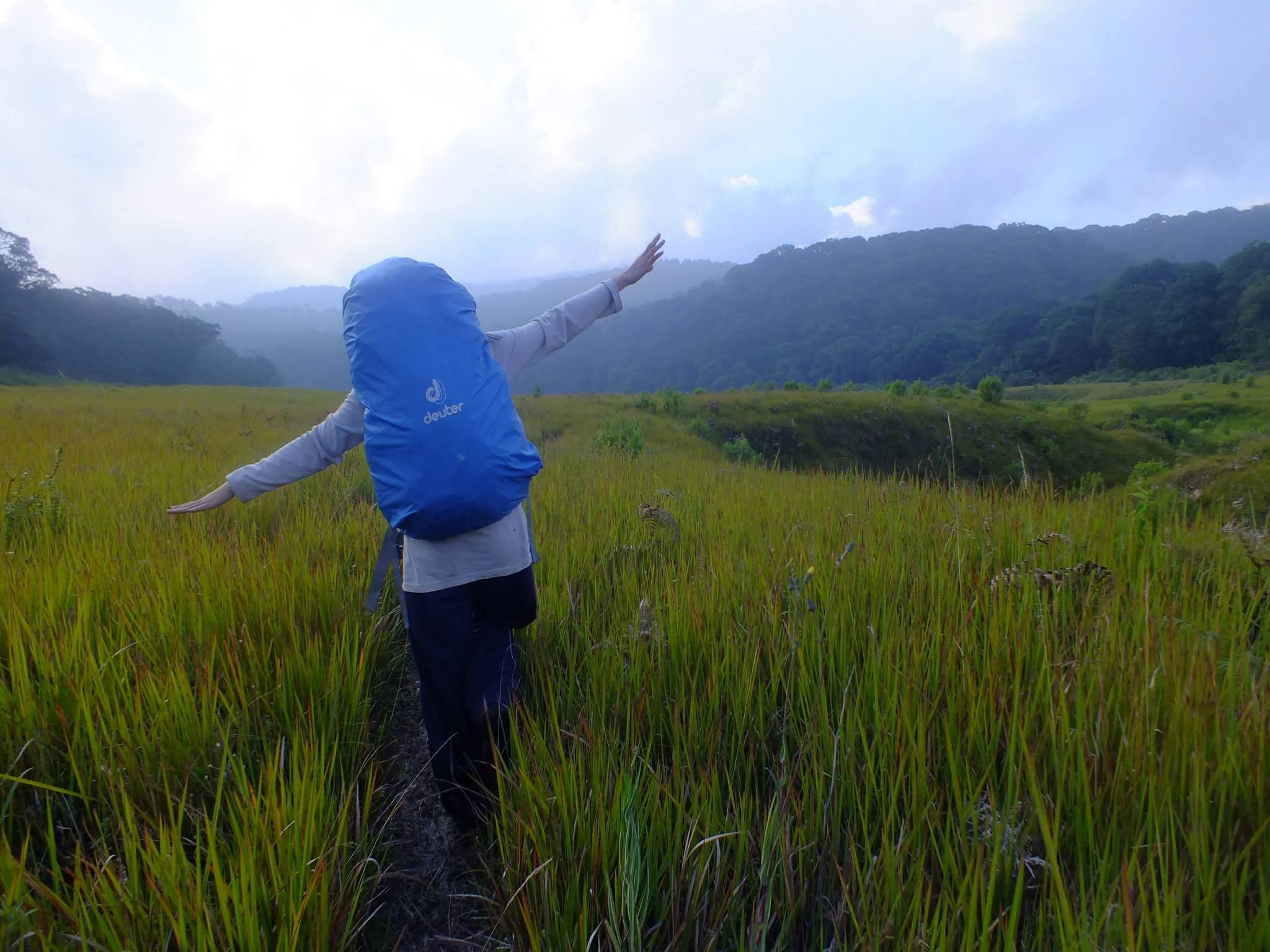 Dwi Widyastuti's Avatar
