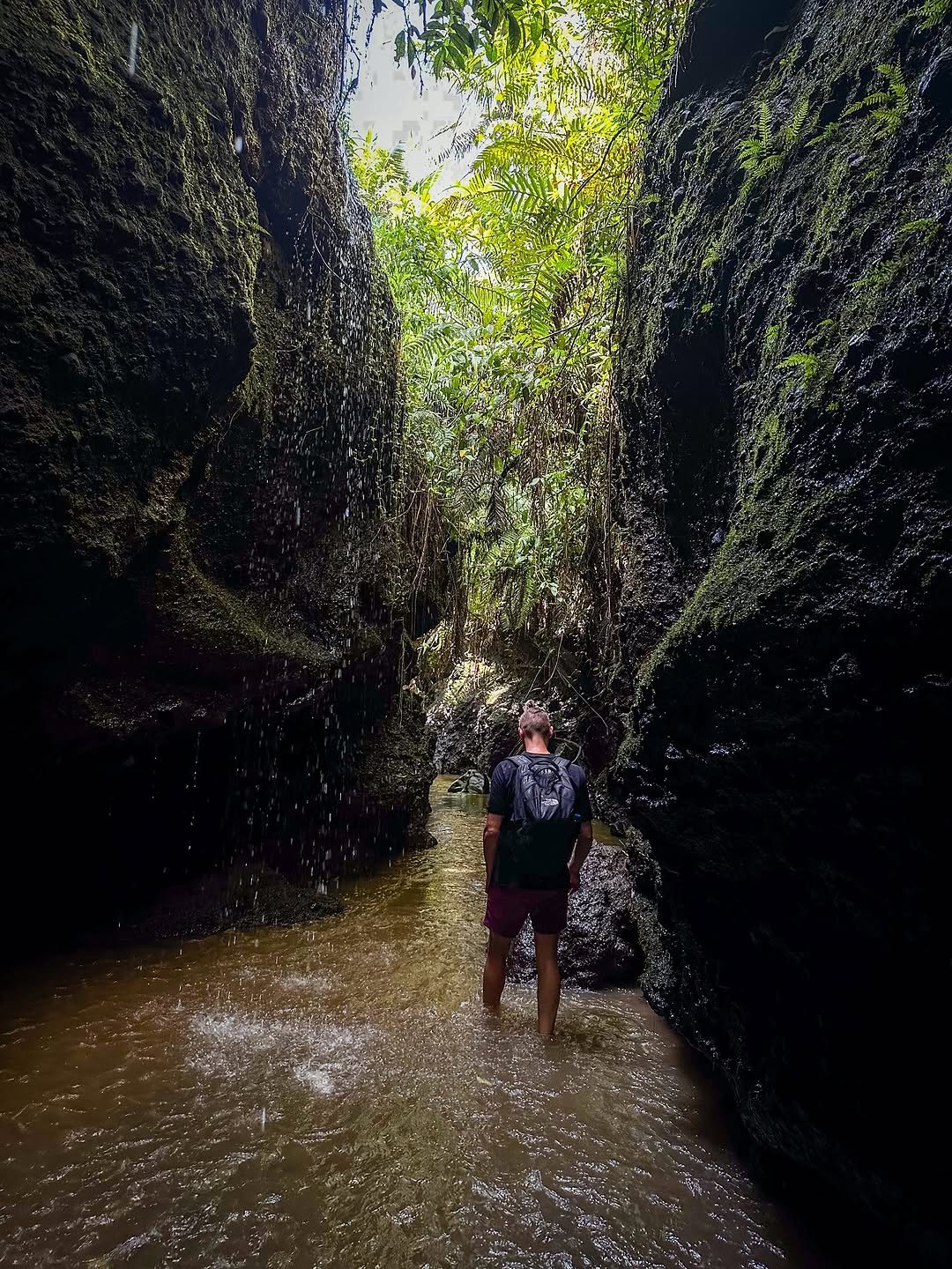 Jelajah Keindahan Tetebatu: Sawah Terasering, Air Terjun, dan Hutan Monyet - 3
