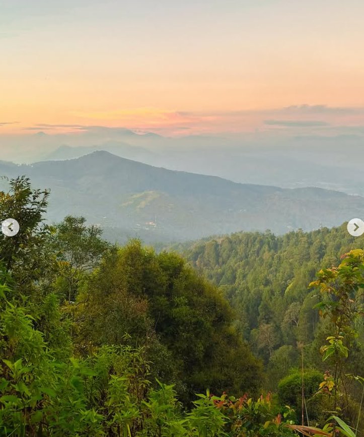 Jelajah Gunung Kerenceng Bandung: Petualangan Menembus Hutan Tersembunyi - 2