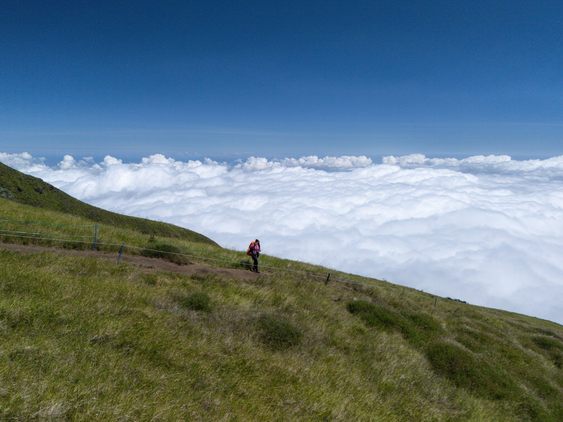 Chasing the Sea of Clouds: A Guide to Hiking Mount Sumbing via Gajah Mungkur