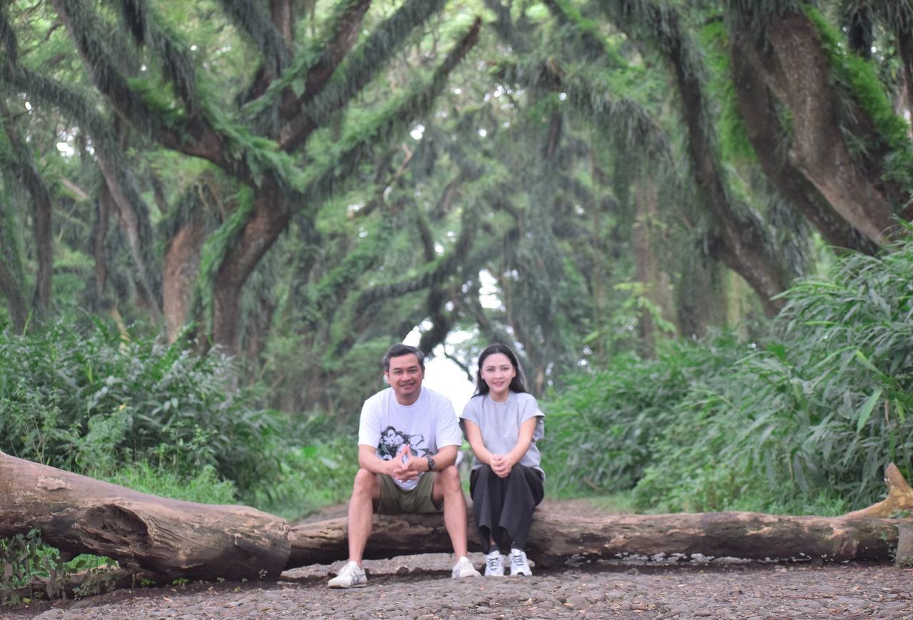 Under the Trembesi Giants: A Quiet Love Story in D’Jawatan Forest