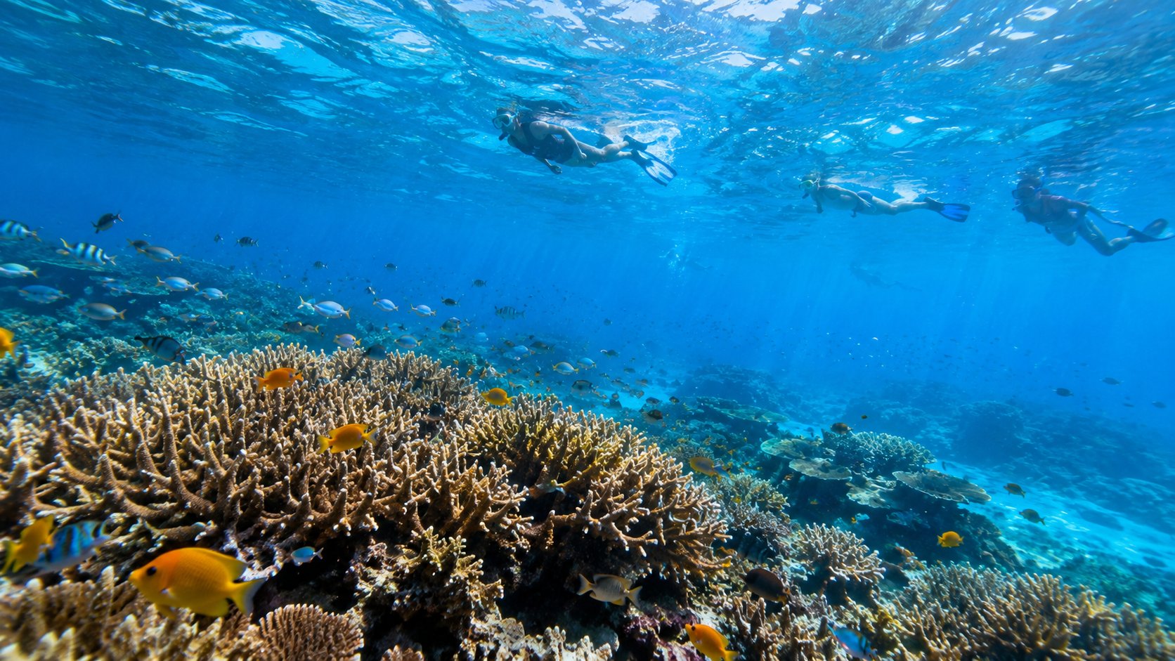 Three Islands, Three Different Silences: My Journey Through Gili Trawangan, Gili Meno, and Gili Air