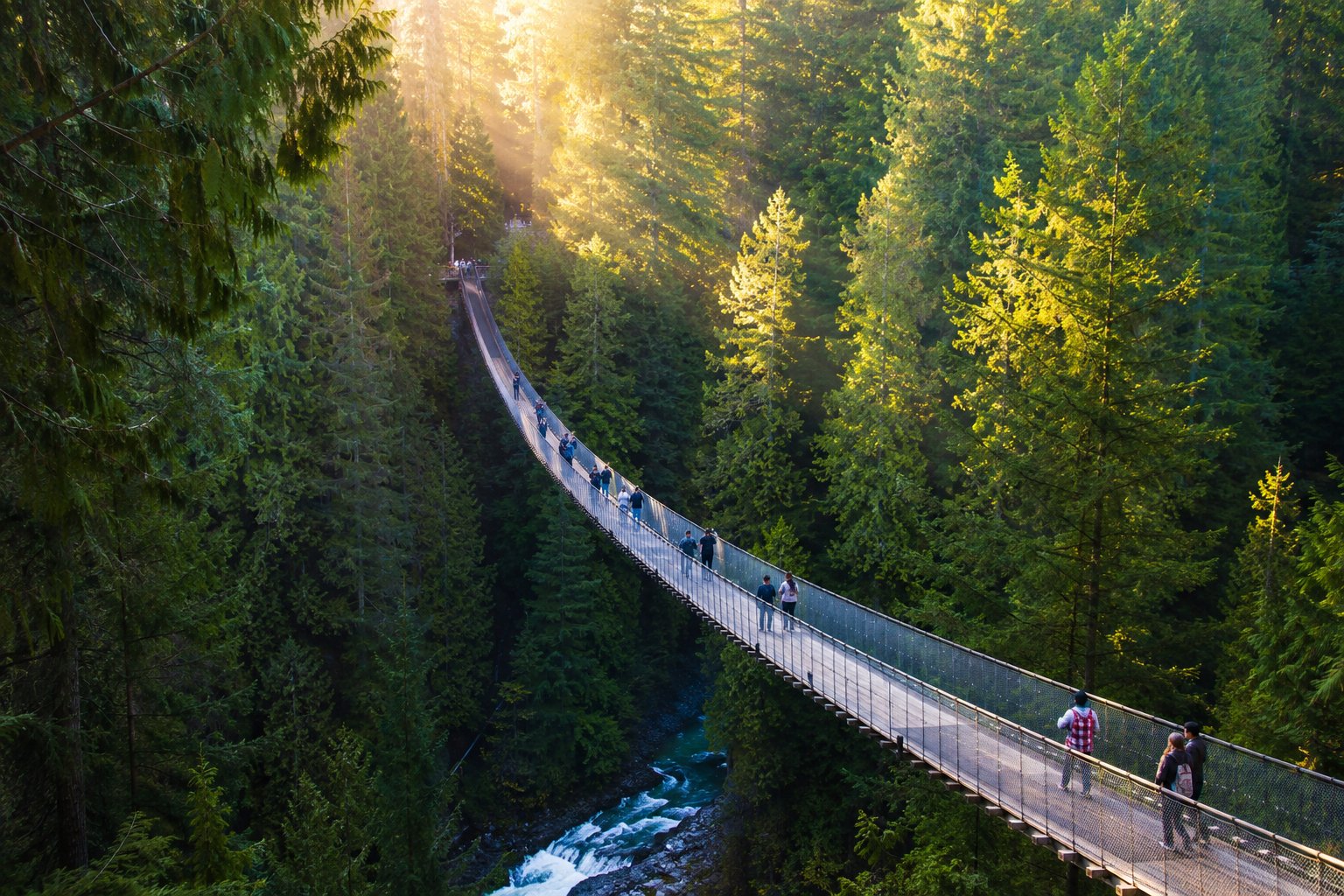 Capilano Suspension Bridge, Vancouver, Canada: Walking Above the Whispering Pines and Fear