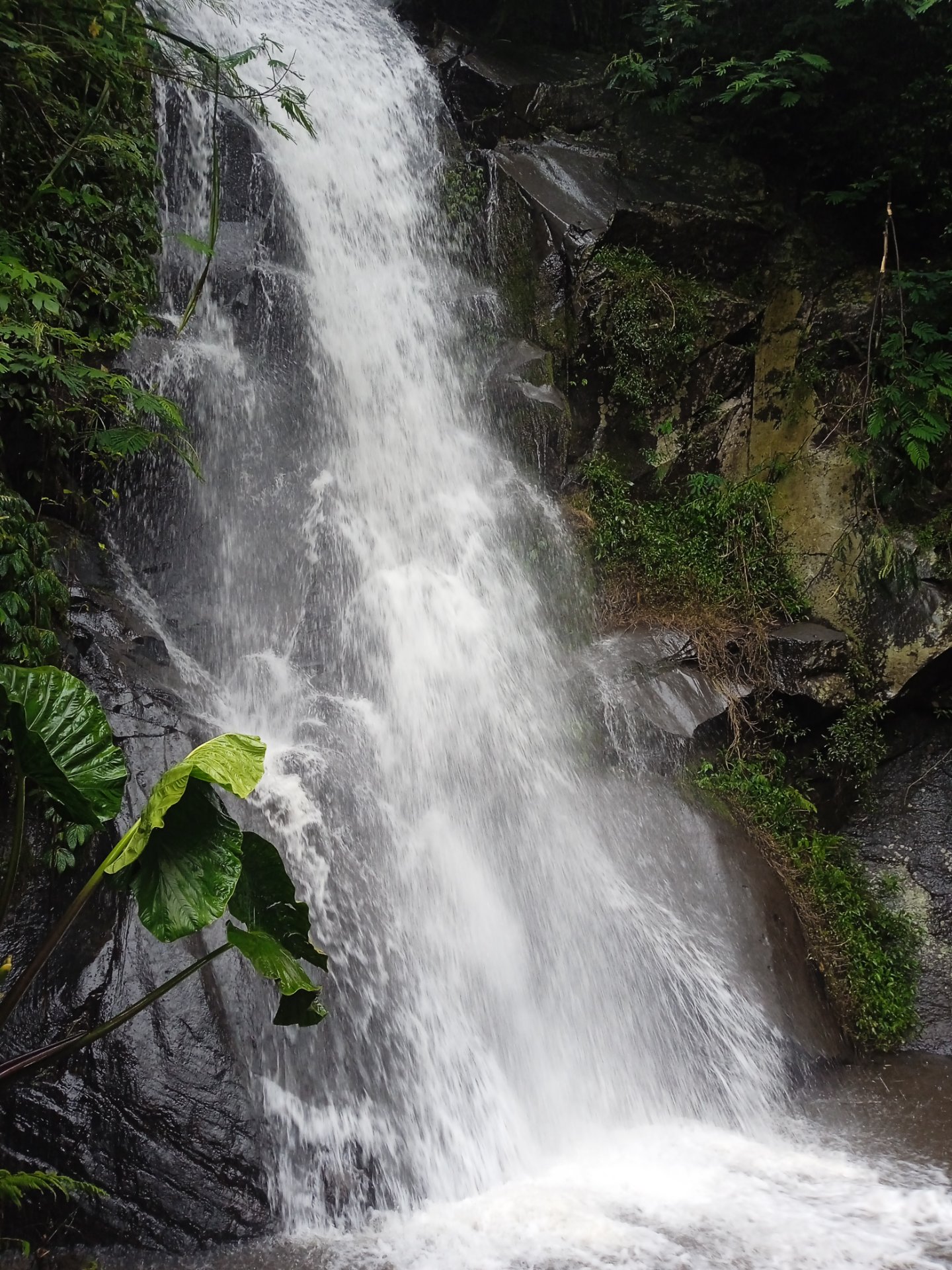 Air terjun bersejarah " COBAN PUTRI"