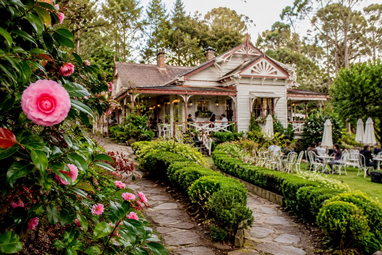 I Found Comfort in Sassafras, Australia