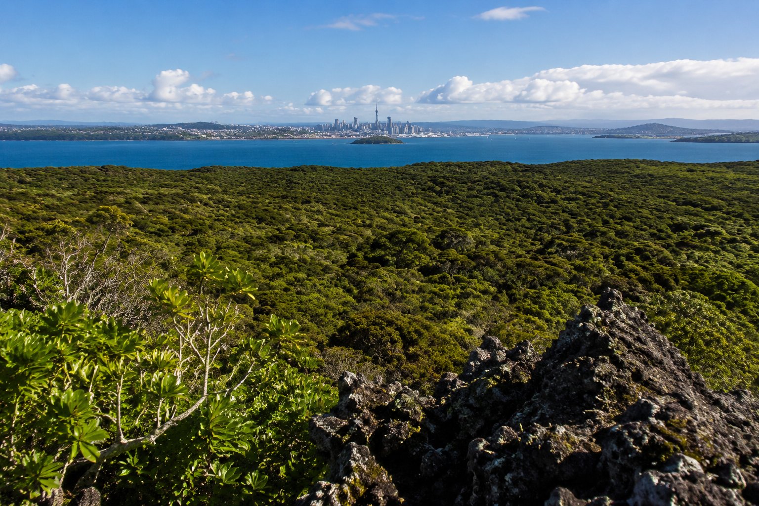 A Walk Through Ancient Lava Trails and Ocean Views in Auckland, New Zealand
